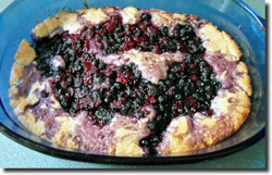 Berry Cobbler. Click on image to view larger size in a new window.
