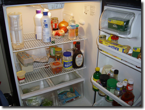My refrigerator during the malaise. Click on image to view larger size in a new window.