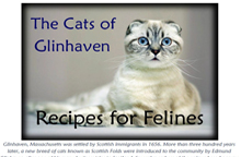 The Cats of Glinhaven: Recipes for Felines