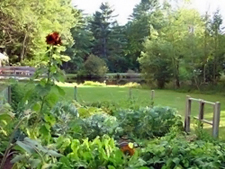 The vegetable garden on the grounds of the Larkin Estate.