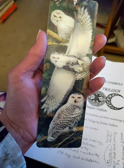 The bookmark I'm using for research into triple goddess symbolism for the Bloodline Trilogy has three 3-D owls as the background. Very apropos, without intention. Click on image to view larger size in a new window.