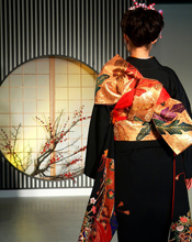 Woman wearing an Obi (sashes worn at the kimono waist). Click on image to view larger size in a new window.