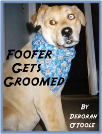 Foofer Gets Groomed