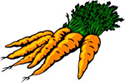 Carrots