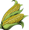 Roasted Sweet Corn