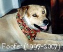 Barbarosa Foofer O'Toole (1997-2007)