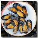 Steamed Mussels