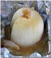 Onion Pocket. Click on image to view larger size in a new window.