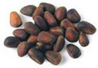 Pine Nuts