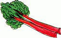 Rhubarb Pie