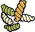 Rotini pasta