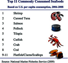 Top 11 Commonly Consumed Seafoods