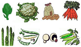 Vegetable Casserole ingredients