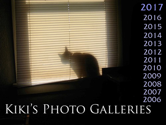 Kiki's Photo Galleries