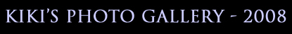 Kiki's Photo Gallery - 2008