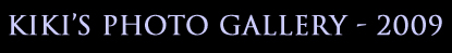 Kiki's Photo Gallery - 2009