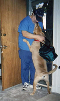 Foofer greets Wilbert at the front door (2005). Click on image to view larger size in a new window.