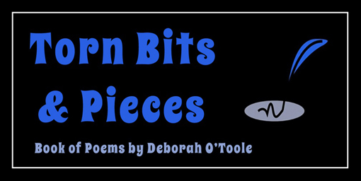 Logo for "Torn Bits & Pieces." Click on image to go to the official web page for the book.