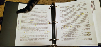 Hissy dropped by during the edit for "Bloodlust" (by Deborah O'Toole writing as Deidre Dalton). Click on image to view larger size in a new window.