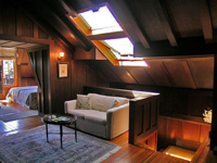 Larkin Estate Details: View of the skylight in the attic.