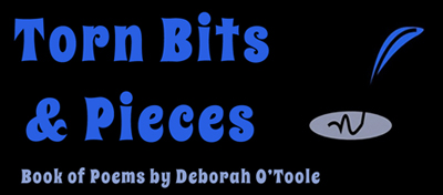 From now through May 31st, "Torn Bits & Pieces" by Deborah O'Toole can be purchased at Smashwords for 60% off as part of their "Authors Give Back" sale.
