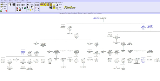 Traditional family tree (Larkin-Sullivan families). Click on image to view larger size in a new window.