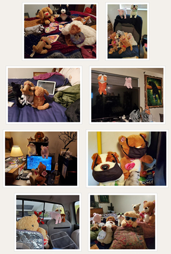 I've lost count the number of times Jerry has rearranged my stuffed animals to convey some sort of twisted message. This is just a sample array, but I'm sure I missed a few.