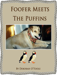Foofer Meets the Puffins