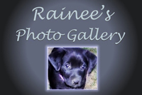 Rainee's Photo Gallery logo