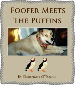 "Foofer Meets the Puffins" by Deborah O'Toole. Click on image to see larger size in a new window.